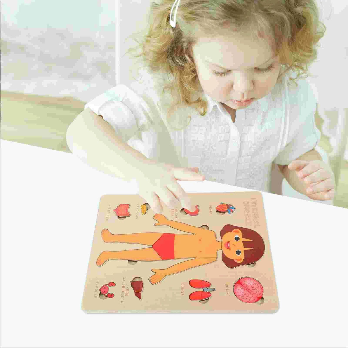 PERA FASHION Montessori Human Body Anatomy Puzzle