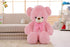 PERA FASHION Large Sky Blue Hug Teddy Bear