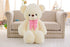 PERA FASHION Large Sky Blue Hug Teddy Bear