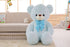 PERA FASHION Large Sky Blue Hug Teddy Bear