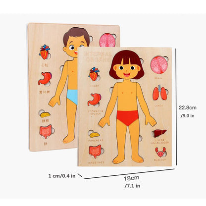 PERA FASHION Montessori Human Body Anatomy Puzzle
