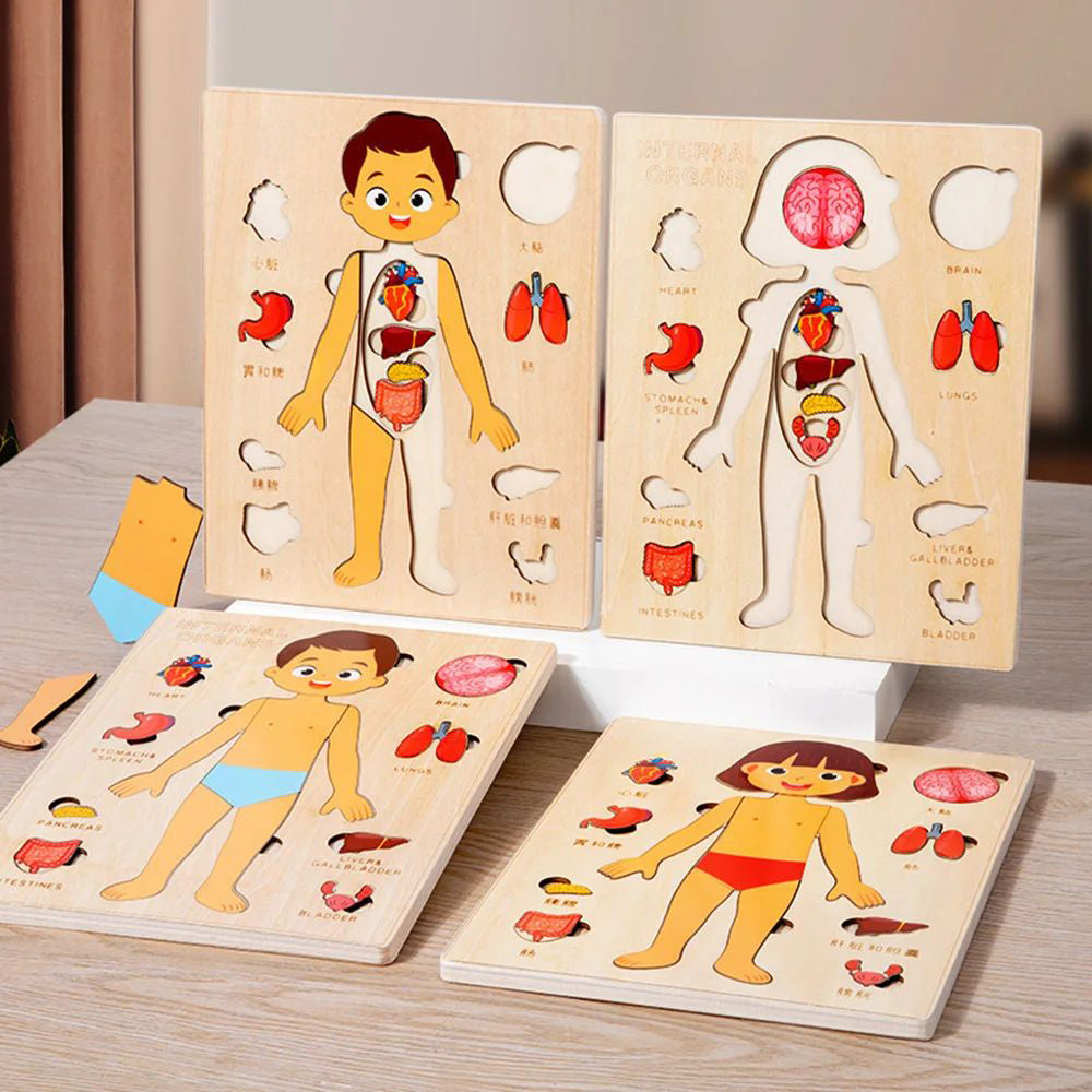 PERA FASHION Montessori Human Body Anatomy Puzzle